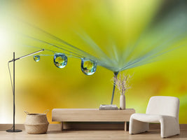 photo-wallpaper-sunbeam-iii