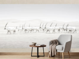 photo-wallpaper-movement-2