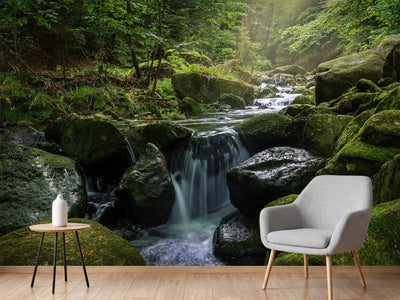 photo-wallpaper-calming-view