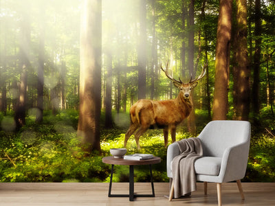 photo-wallpaper-attention-deer
