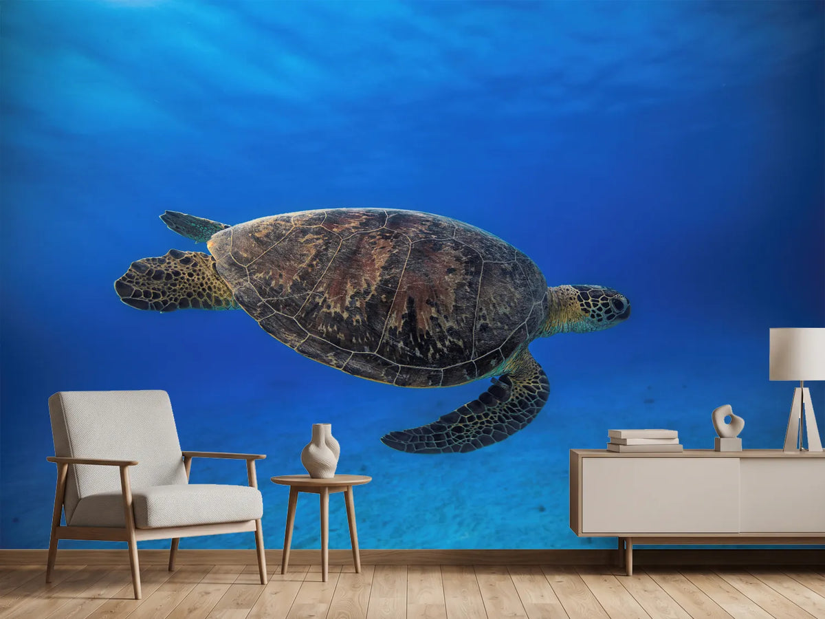 photo-wallpaper-green-turtle-in-the-blue