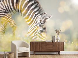 photo-wallpaper-peaceful-zebra-foal