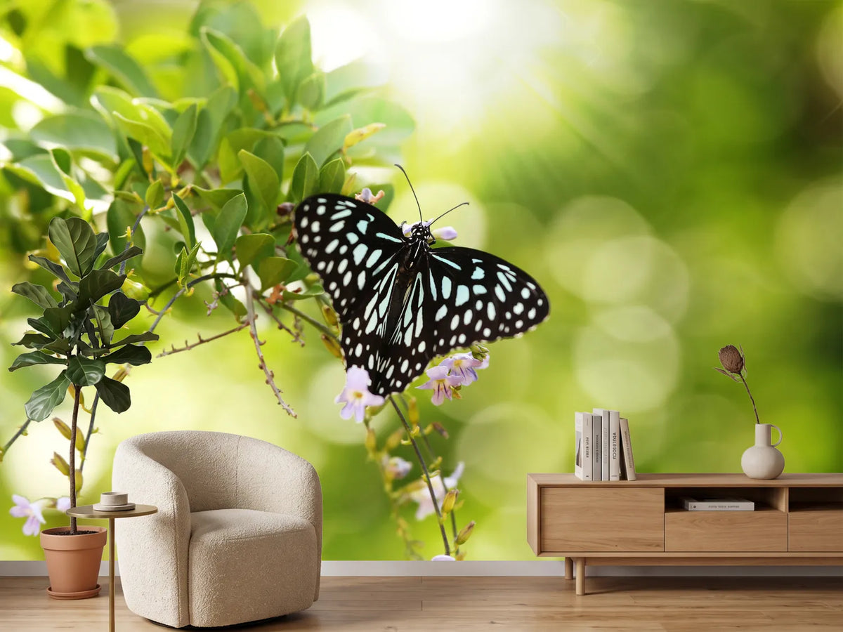 photo-wallpaper-papilio-butterfly-xxl