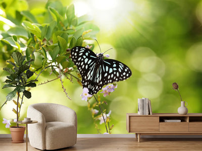 photo-wallpaper-papilio-butterfly-xxl