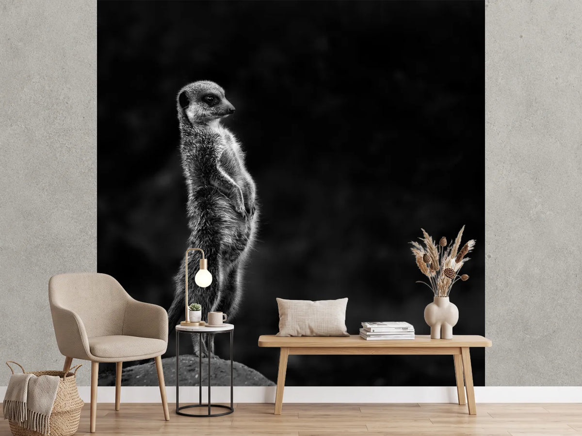 photo-wallpaper-the-meerkat