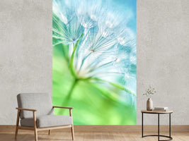 photo-wallpaper-macro-dandelion
