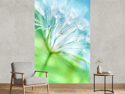 photo-wallpaper-macro-dandelion