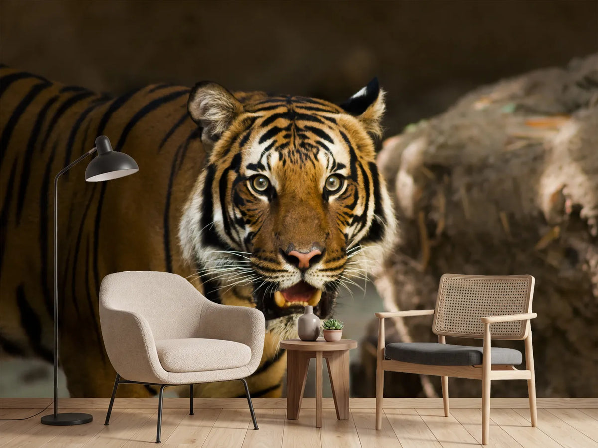 photo-wallpaper-sibirian-tiger