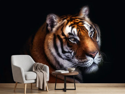 photo-wallpaper-tiger-x