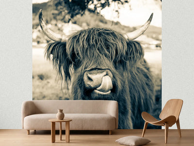 photo-wallpaper-grazing-time-in-bavaria