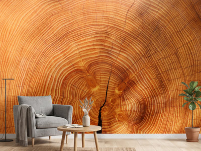 photo-wallpaper-tree-rings