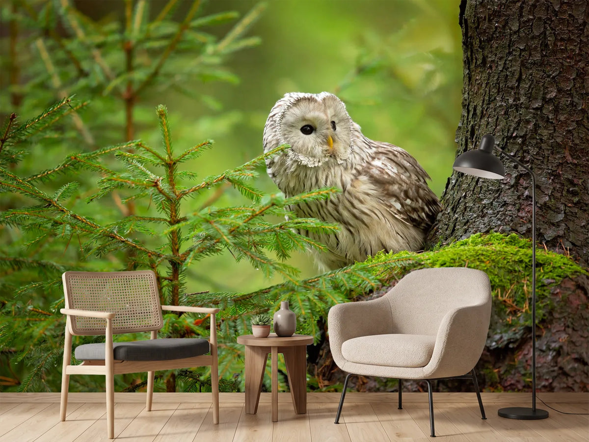 photo-wallpaper-ural-owl-x