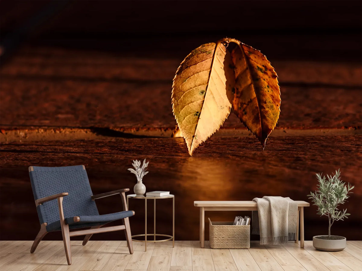 photo-wallpaper-the-leaf