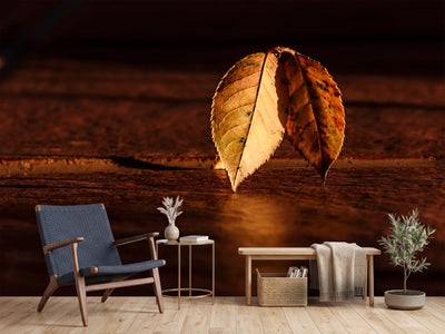 photo-wallpaper-the-leaf