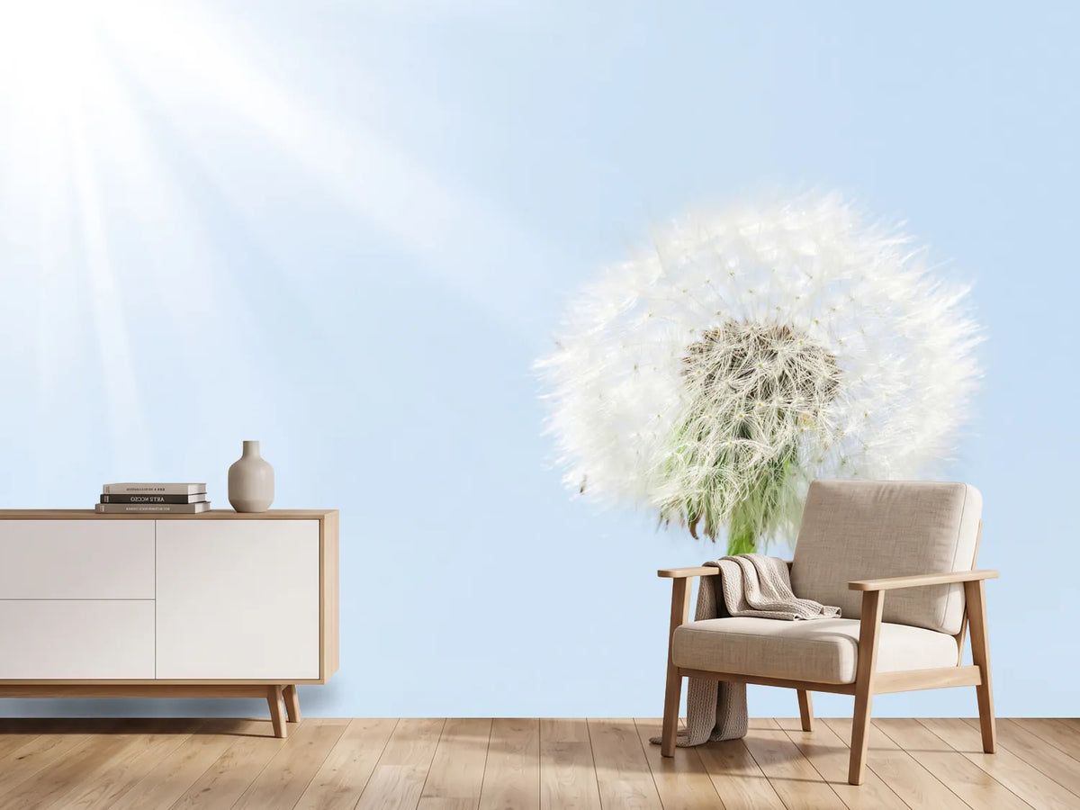 photo-wallpaper-dandelion-in-sunbeam
