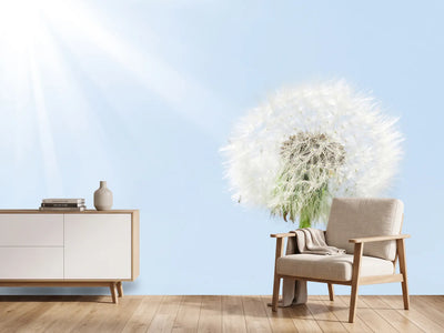 photo-wallpaper-dandelion-in-sunbeam