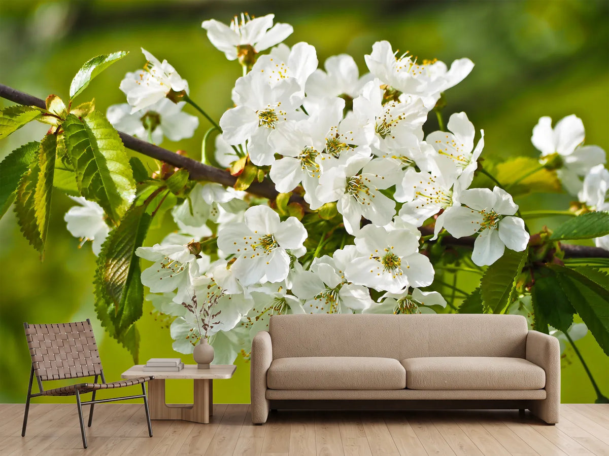 photo-wallpaper-white-flowers-in-xl