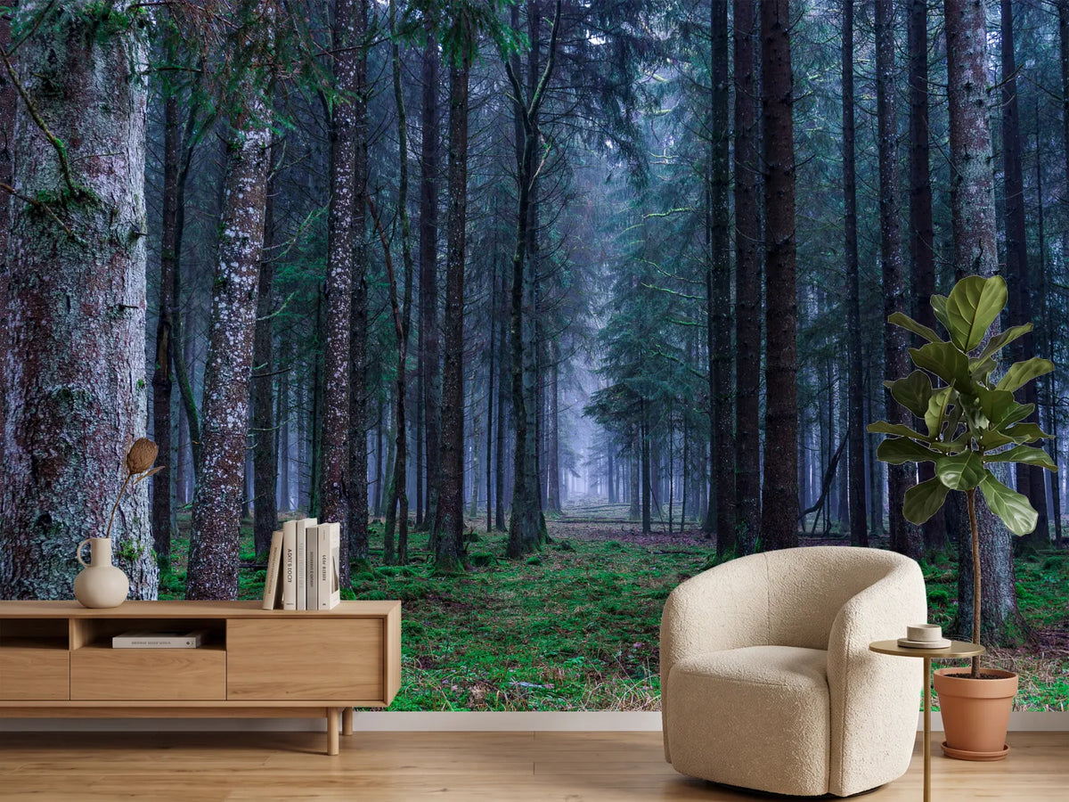 photo-wallpaper-fir-trees-forest