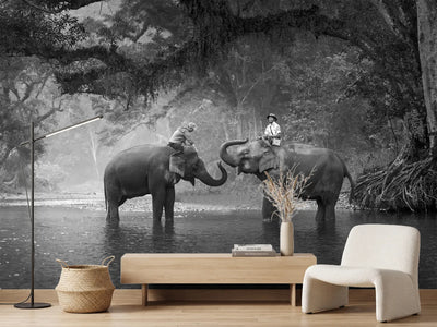 photo-wallpaper-two-elephants