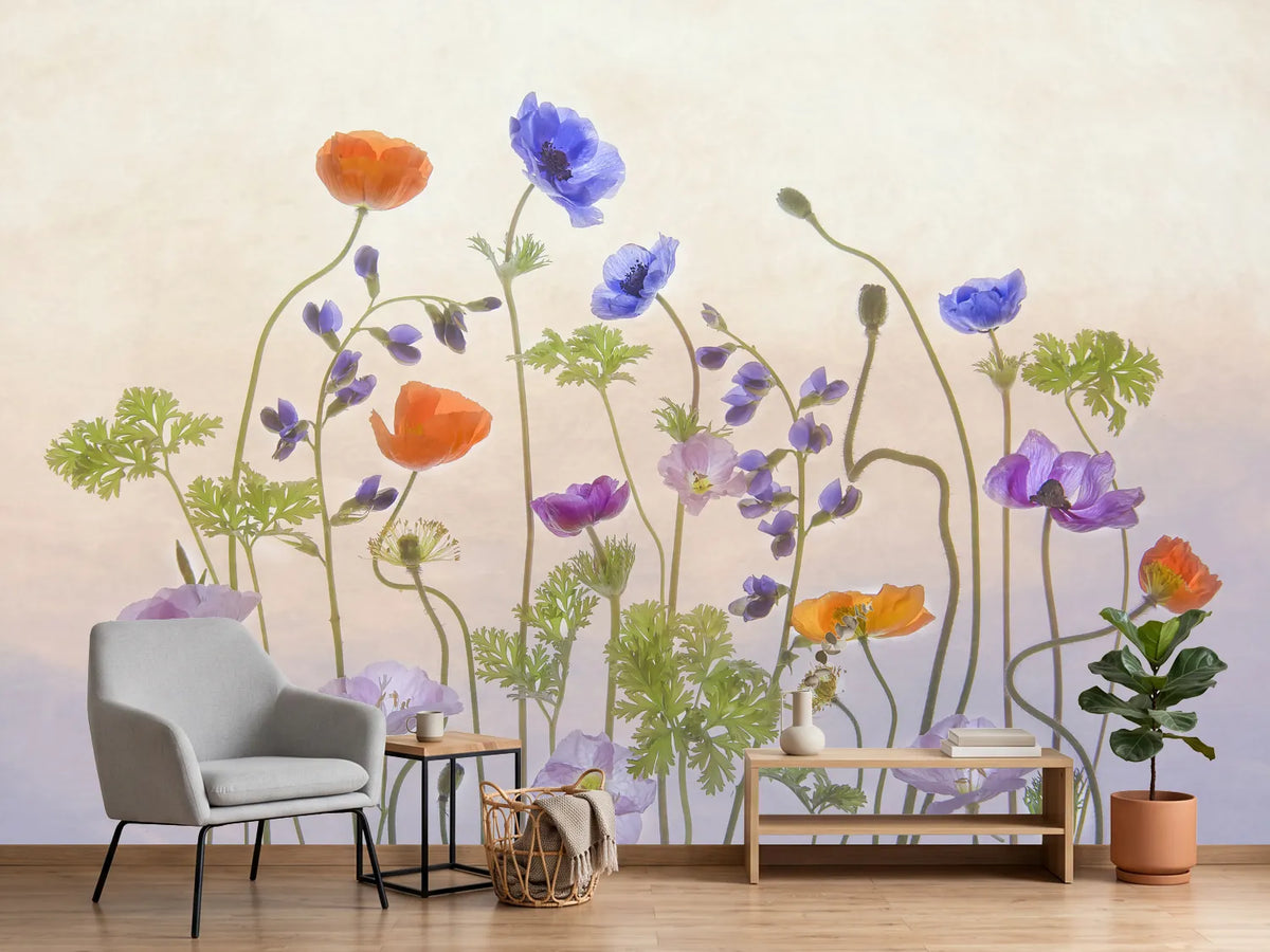 photo-wallpaper-poppy-a-anemone-x