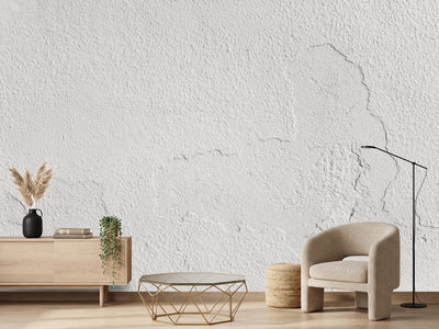 photo-wallpaper-subtle-gray-wall-texture