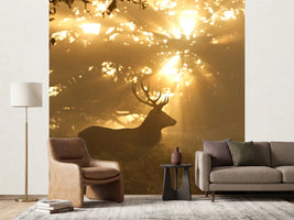 photo-wallpaper-ghost-of-the-forest