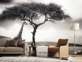 photo-wallpaper-under-the-african-sun