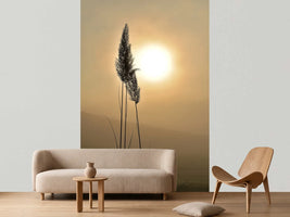 photo-wallpaper-atmospheric
