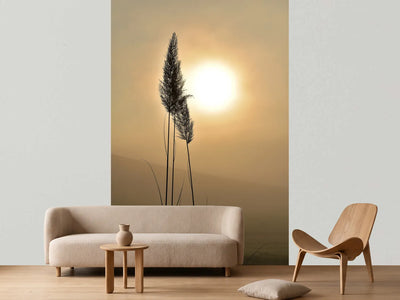 photo-wallpaper-atmospheric
