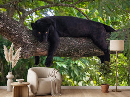 photo-wallpaper-black-panther-on-a-tree-branch