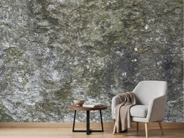 photo-wallpaper-mossy-rock-texture