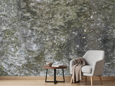photo-wallpaper-mossy-rock-texture
