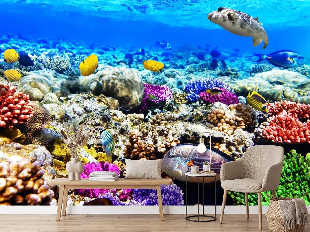 photo-wallpaper-fish-aquarium