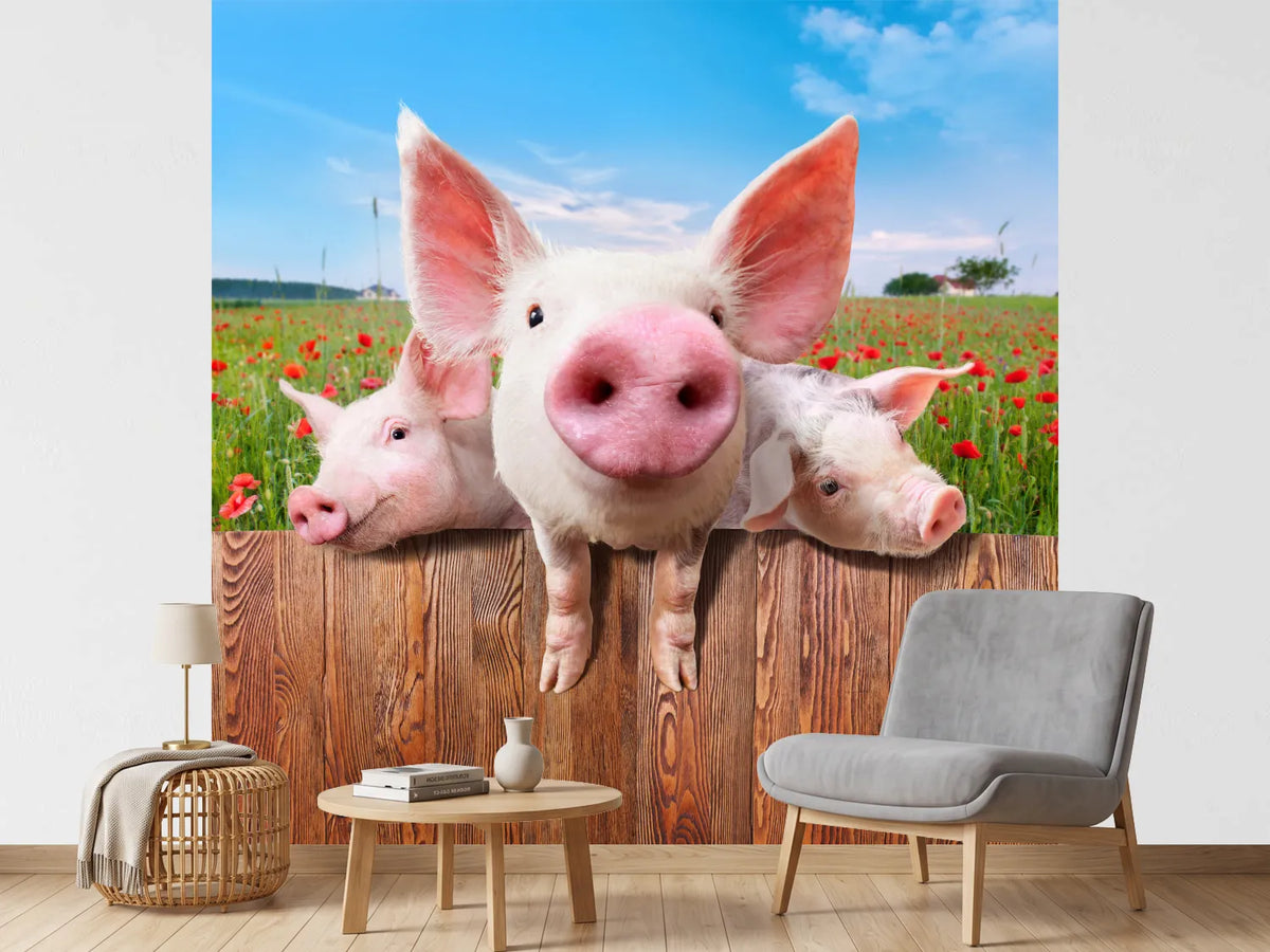photo-wallpaper-pig-in-luck