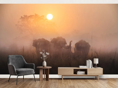 photo-wallpaper-elephants-in-golden-mist