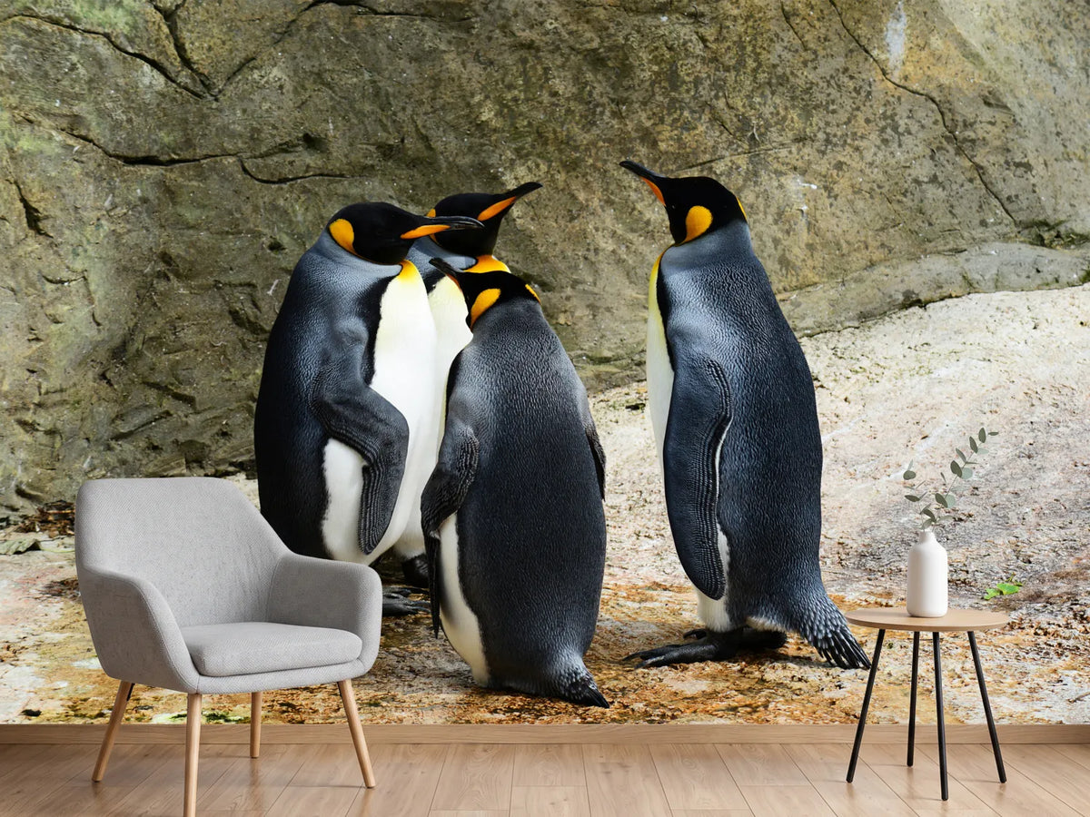 photo-wallpaper-king-penguins