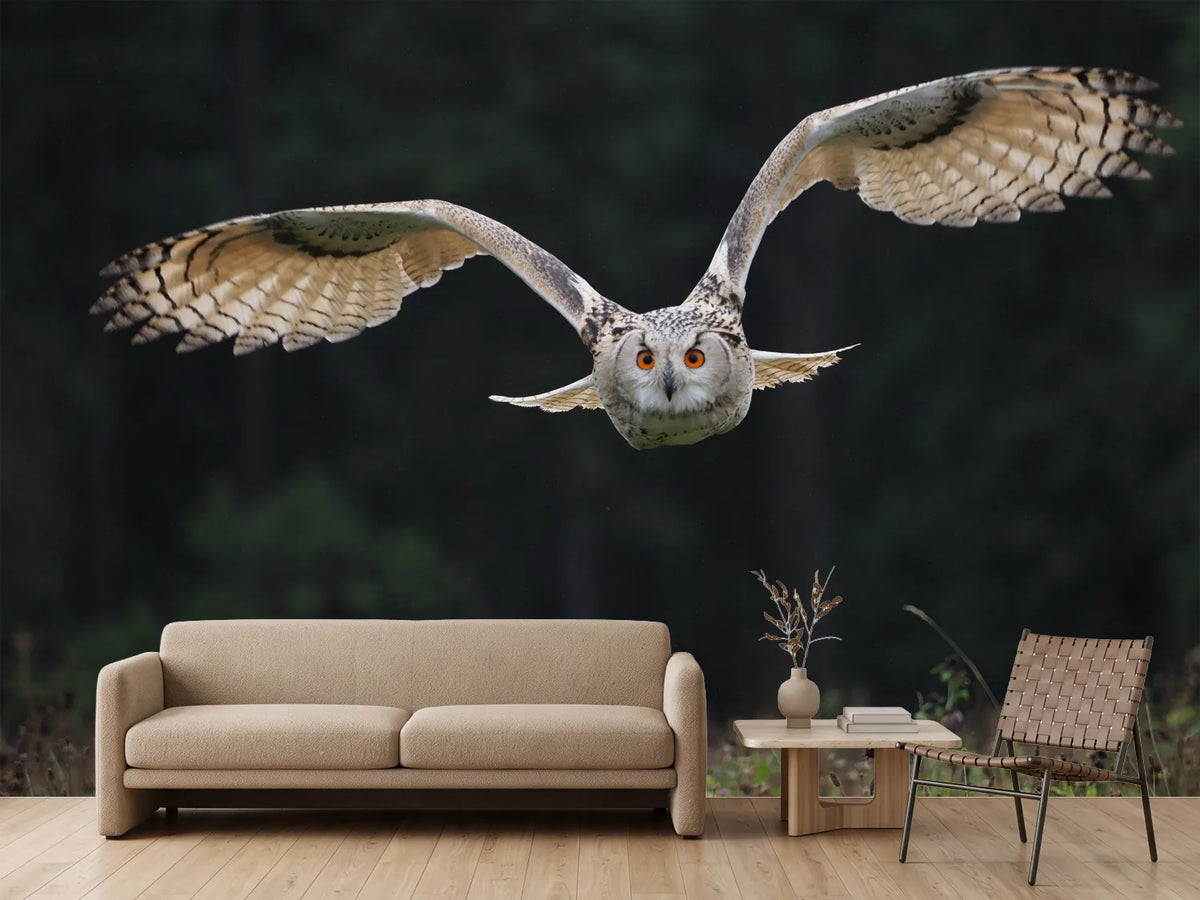 photo-wallpaper-the-owl