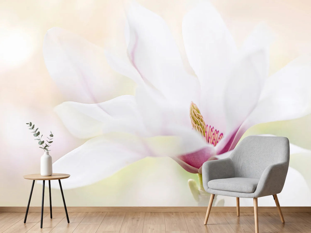 photo-wallpaper-purity-x