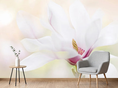 photo-wallpaper-purity-x