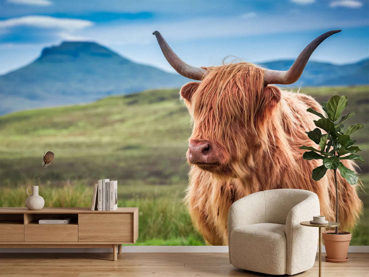 photo-wallpaper-furry-highland-cow-in-isle-of-skye-scotland