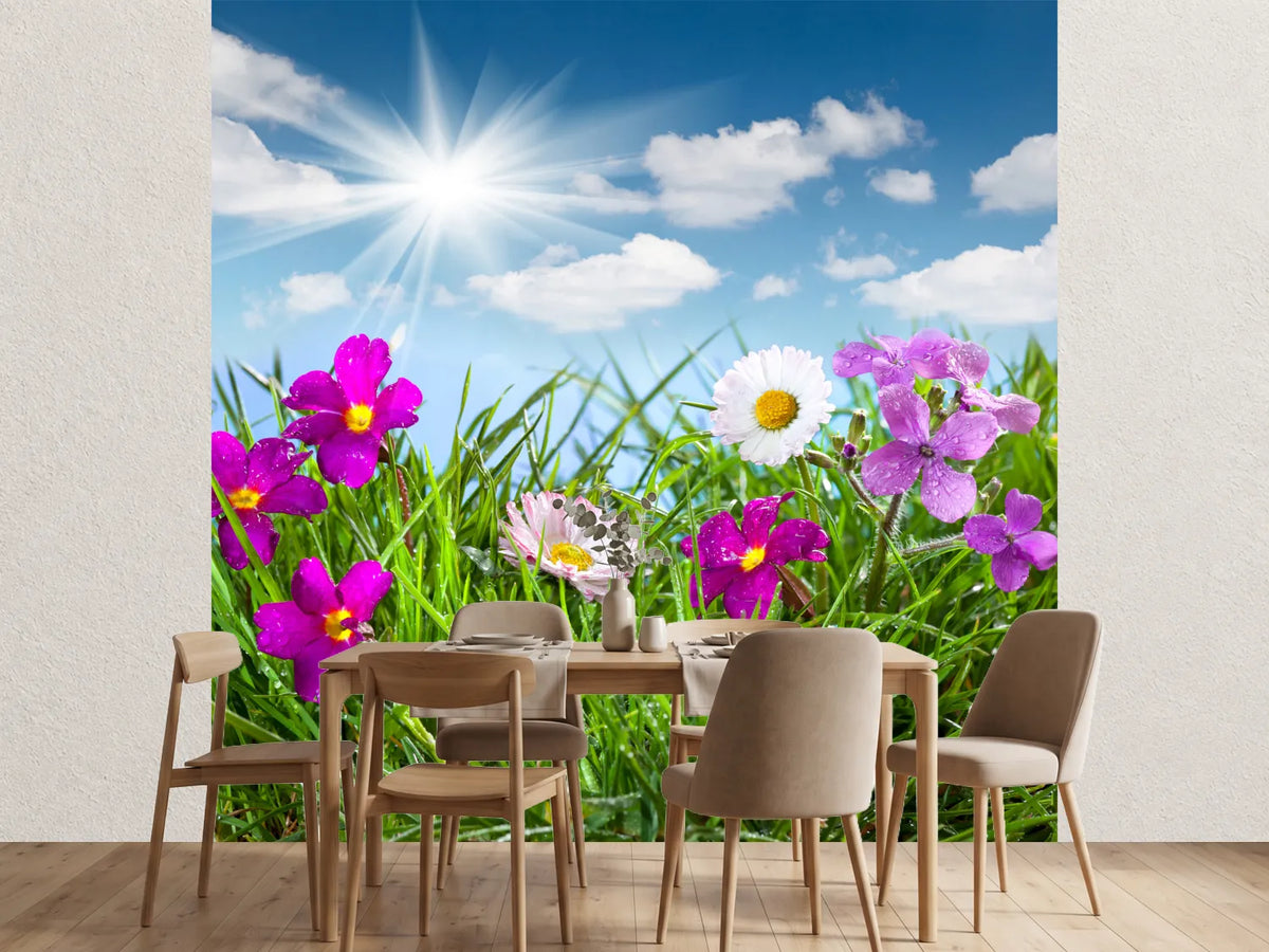 photo-wallpaper-flowering-meadow