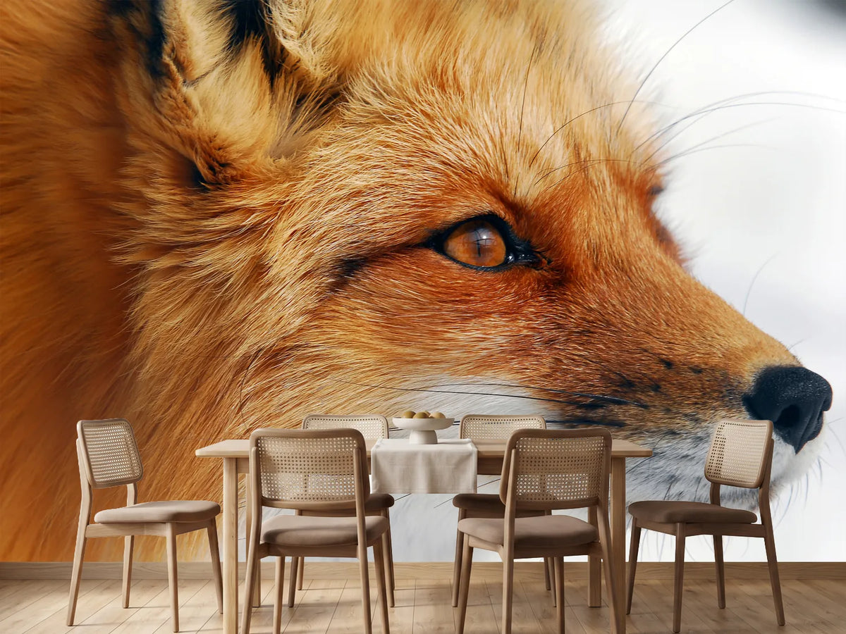 photo-wallpaper-red-fox-x