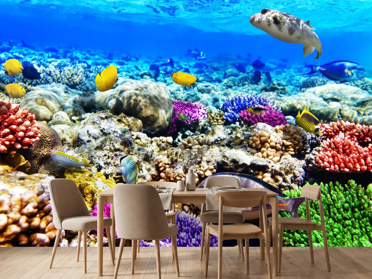 photo-wallpaper-fish-aquarium