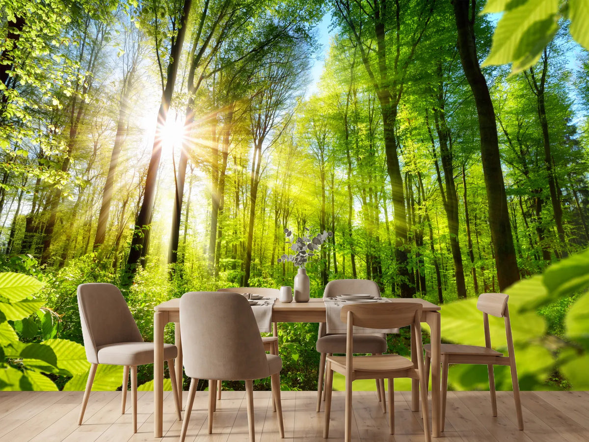 photo-wallpaper-sunlit-deciduous-trees-in-the-forest