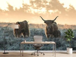 photo-wallpaper-three-highlanders-x