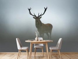 photo-wallpaper-majestic-stag-in-fog