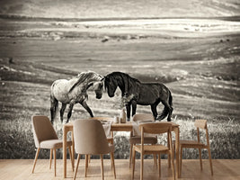 photo-wallpaper-close-encounter-x