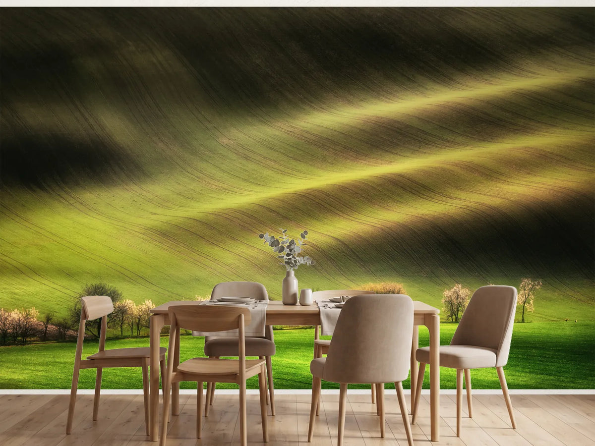 photo-wallpaper-sunlit-spring-hills