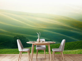 photo-wallpaper-tuscany