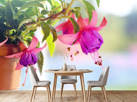 photo-wallpaper-the-fuchsias